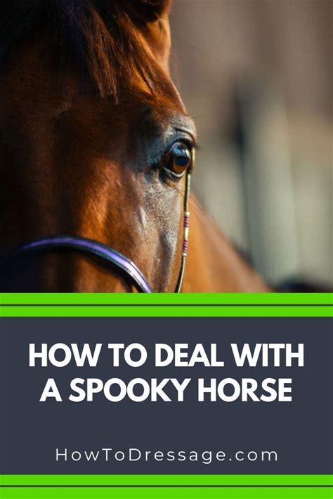 how to handle a spooky horse